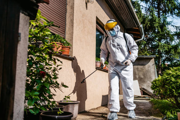 Best Rodent Control Near Me  in Montclair, VA