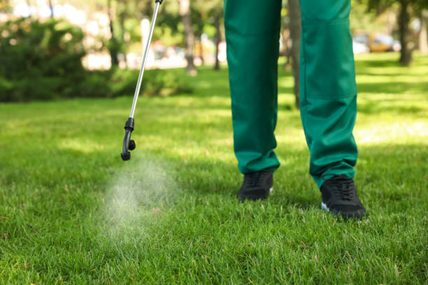 Best Emergency Pest Control  in Montclair, VA