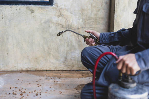 Best Affordable Pest Control Services  in Montclair, VA